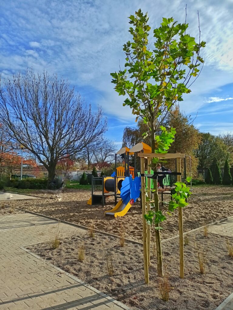 nowe drzewa w ramach projektu Smart Pleszew nasadzone w parku kieszonkowym przy ZSP nr 1 w Pleszewie